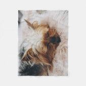 Niedliche Kleintiere | Yorkshire Terrier Fleecedecke (Vorderseite)