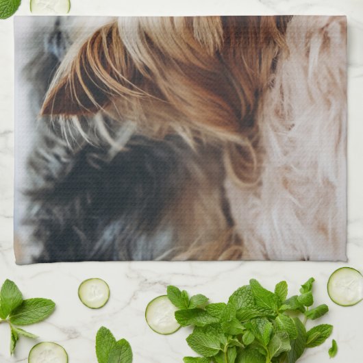 Niedliche Kleintiere | Yorkshire Terrier Geschirrtuch (Gefaltet)