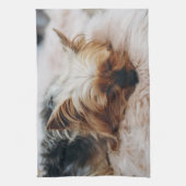 Niedliche Kleintiere | Yorkshire Terrier Geschirrtuch (Vertikal)