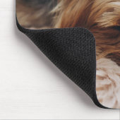Niedliche Kleintiere | Yorkshire Terrier Mousepad (Ecke)