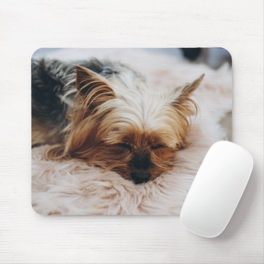 Niedliche Kleintiere | Yorkshire Terrier Mousepad (Mit Mouse)
