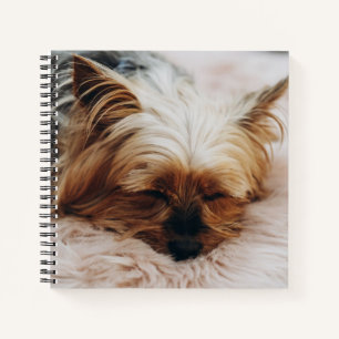 Niedliche Kleintiere Yorkshire Terrier Notizblock