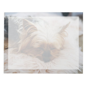 Niedliche Kleintiere   Yorkshire Terrier Notizblock