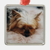 Niedliche Kleintiere | Yorkshire Terrier Ornament Aus Metall (Vorne)