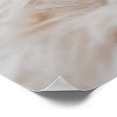 Niedliche Kleintiere | Yorkshire Terrier Poster (Ecke)