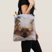 Niedliche Kleintiere | Yorkshire Terrier Tasche (Von Nahem)