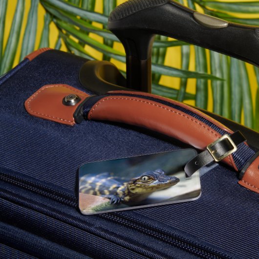 Niedliche Kleintiere | Young Alligator Gepäckanhänger (Vorderseite Insitu 3)