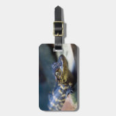 Niedliche Kleintiere | Young Alligator Gepäckanhänger (Vorderseite vertikal)