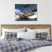Niedliche Kleintiere | Young Alligator Leinwanddruck (Insitu (Schlafzimmer))