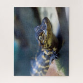 Niedliche Kleintiere | Young Alligator Puzzle (Vertikal)