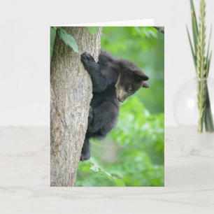 Niedliche Kleintiere Young Black Bar Cub Karte