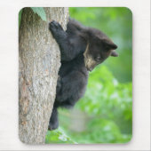 Niedliche Kleintiere | Young Black Bar Cub Mousepad (Vorne)