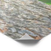 Niedliche Kleintiere | Young Black Bar Cub Poster (Ecke)