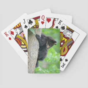 Niedliche Kleintiere   Young Black Bar Cub Spielkarten