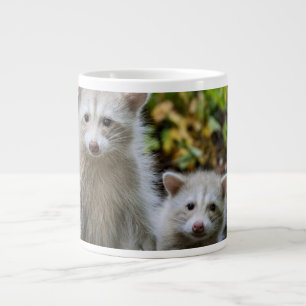 Niedliche Kleintiere Young Blonde Raccoons Jumbo-Tasse
