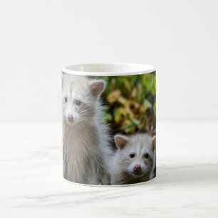 Niedliche Kleintiere Young Blonde Raccoons Kaffeetasse