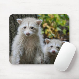 Niedliche Kleintiere   Young Blonde Raccoons Mousepad