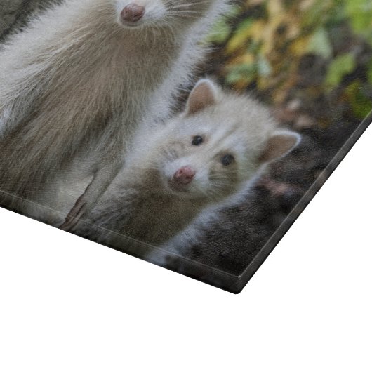 Niedliche Kleintiere | Young Blonde Raccoons Schneidebrett (Ecke)