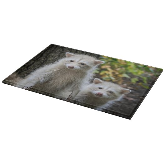 Niedliche Kleintiere | Young Blonde Raccoons Schneidebrett (Ecke)