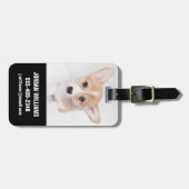 Niedliche Kleintiere | Young Corgi Puppy Gepäckanhänger (Vorderseite horizontal)