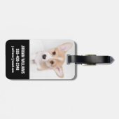 Niedliche Kleintiere | Young Corgi Puppy Gepäckanhänger (Rückseite horizontal)