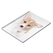 Niedliche Kleintiere | Young Corgi Puppy Notizblock (Linke Seite)