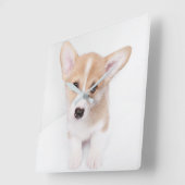 Niedliche Kleintiere | Young Corgi Puppy Quadratische Wanduhr (Winkel)