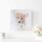 Niedliche Kleintiere | Young Corgi Puppy Quadratische Wanduhr (Zuhause)