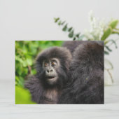 Niedliche Kleintiere | Young Mountain Gorilla Dankeskarte (Stehend Vorderseite)