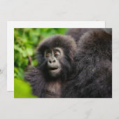 Niedliche Kleintiere | Young Mountain Gorilla Dankeskarte (Vorne/Hinten)