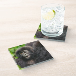 Niedliche Kleintiere Young Mountain Gorilla Glasuntersetzer
