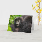 Niedliche Kleintiere | Young Mountain Gorilla Karte (Gelbe Blume)