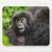 Niedliche Kleintiere | Young Mountain Gorilla Mousepad (Vorne)