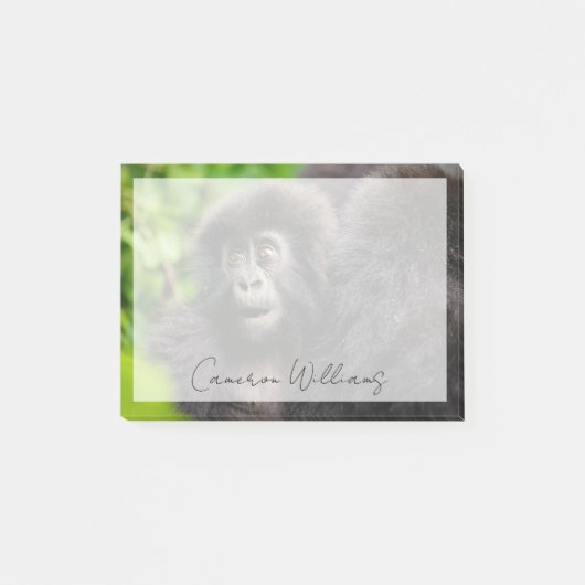 Niedliche Kleintiere | Young Mountain Gorilla Post-it Klebezettel (Vorderseite)