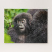 Niedliche Kleintiere | Young Mountain Gorilla Puzzle (Horizontal)