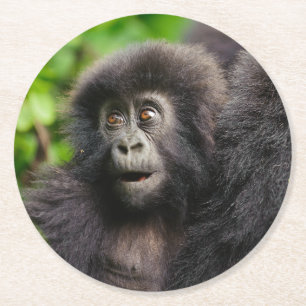 Niedliche Kleintiere Young Mountain Gorilla Runder Pappuntersetzer