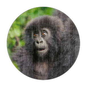 Niedliche Kleintiere   Young Mountain Gorilla Schneidebrett