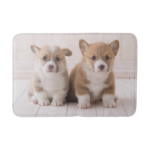Niedliche Kleintiere Zwei Baby Corgis sitzen Badematte