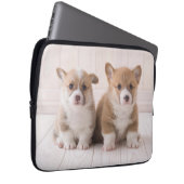 Niedliche Kleintiere | Zwei Baby Corgis sitzen Laptopschutzhülle (Vorne Rechts)