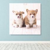 Niedliche Kleintiere | Zwei Baby Corgis sitzen Leinwanddruck (Insitu (Holzboden))