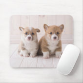 Niedliche Kleintiere | Zwei Baby Corgis sitzen Mousepad (Mit Mouse)