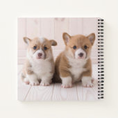 Niedliche Kleintiere | Zwei Baby Corgis sitzen Notizblock (Rückseite)