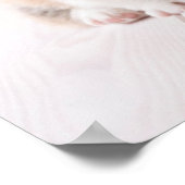 Niedliche Kleintiere | Zwei Baby Corgis sitzen Poster (Ecke)