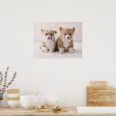 Niedliche Kleintiere | Zwei Baby Corgis sitzen Poster (Küche)