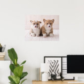 Niedliche Kleintiere | Zwei Baby Corgis sitzen Poster (Heimbüro)