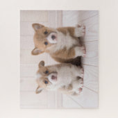 Niedliche Kleintiere | Zwei Baby Corgis sitzen Puzzle (Vertikal)