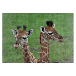 Niedliche Kleintiere Zwei Baby-Giraffen Schneidebrett