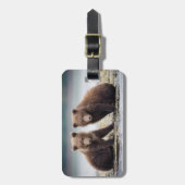 Niedliche Kleintiere | Zwei Bärenkuppen Gepäckanhänger (Vorderseite vertikal)