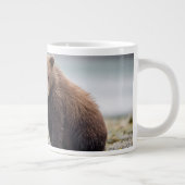 Niedliche Kleintiere | Zwei Bärenkuppen Jumbo-Tasse (Rechts)