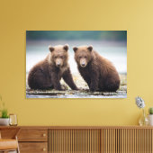 Niedliche Kleintiere | Zwei Bärenkuppen Leinwanddruck (Insitu (Wohnzimmer))